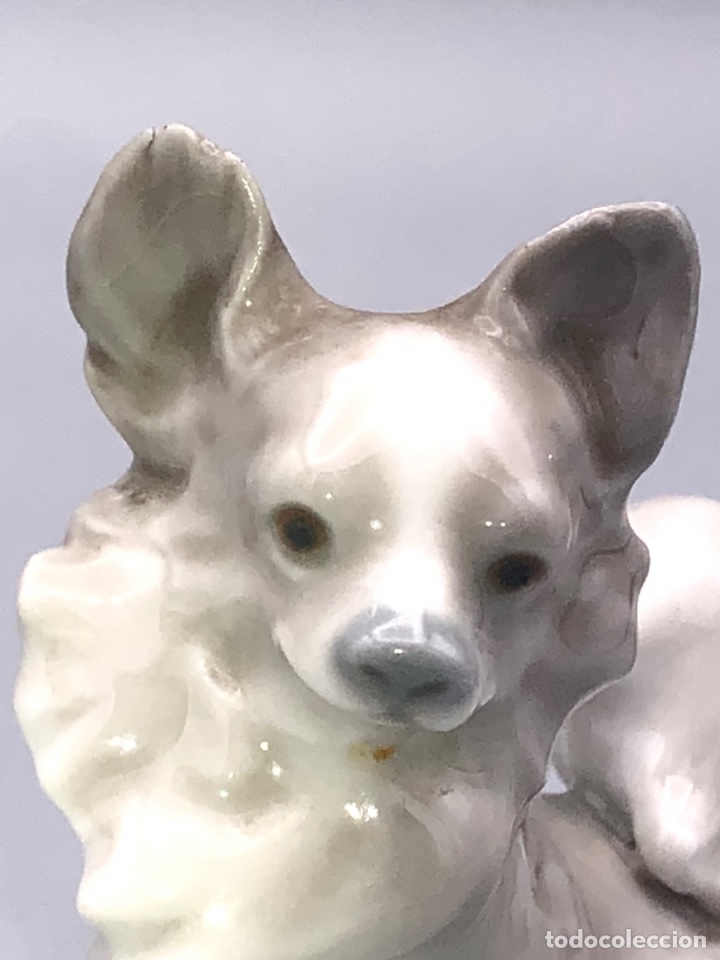 Antig&uuml;edades: REF: 01004749 &ldquo;PERRITO MARIPOSA&rdquo; LLADR&Oacute; - Foto 6