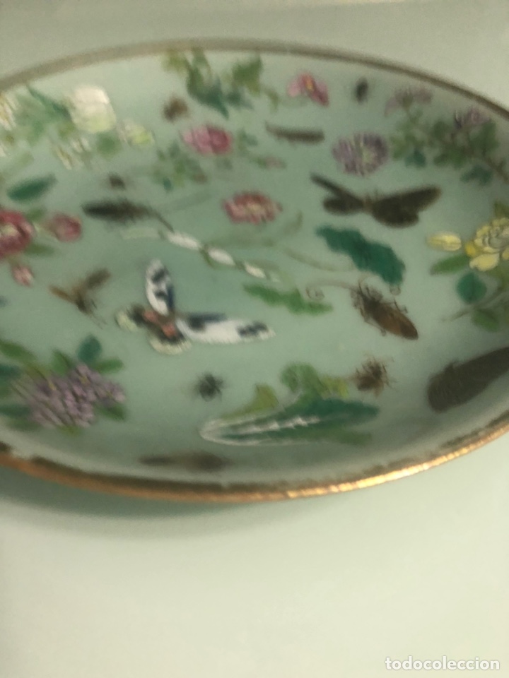Antig&uuml;edades: Plato celadon chino - Foto 6