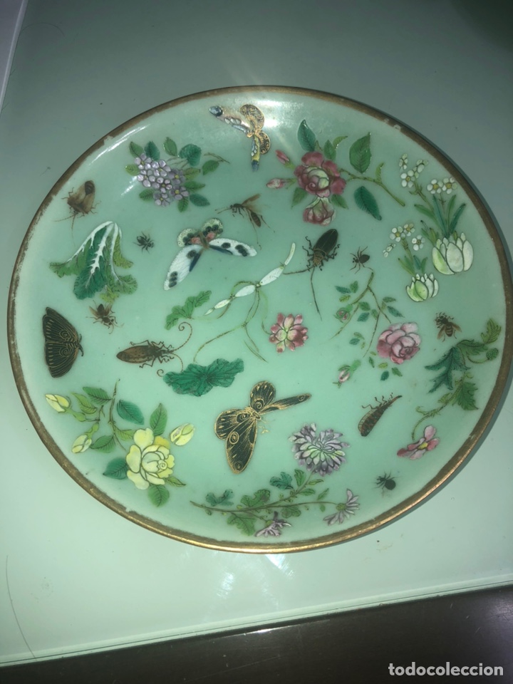 Antig&uuml;edades: Plato celadon chino - Foto 1