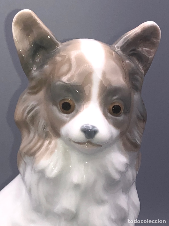 Antig&uuml;edades: REF: 02000103 &ldquo;PERRO MARIPOSA GRANDE&rdquo; NAO-LLADR&Oacute; - Foto 2