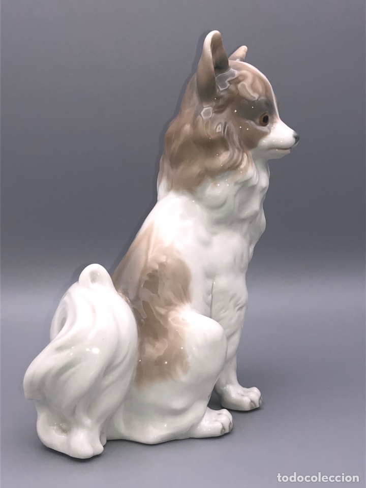 Antig&uuml;edades: REF: 02000103 &ldquo;PERRO MARIPOSA GRANDE&rdquo; NAO-LLADR&Oacute; - Foto 3