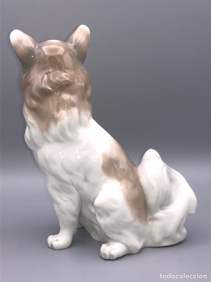 Antig&uuml;edades: REF: 02000103 &ldquo;PERRO MARIPOSA GRANDE&rdquo; NAO-LLADR&Oacute; - Foto 4
