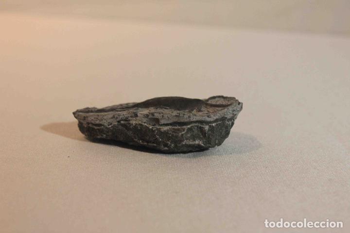 Antig&uuml;edades: FOSIL PIEDRA MODELO C &nbsp;&nbsp;&nbsp;&nbsp;&nbsp;&nbsp;&nbsp;&nbsp;&nbsp;&nbsp;&nbsp;&nbsp;&nbsp;&nbsp;&nbsp;&nbsp; - Foto 2