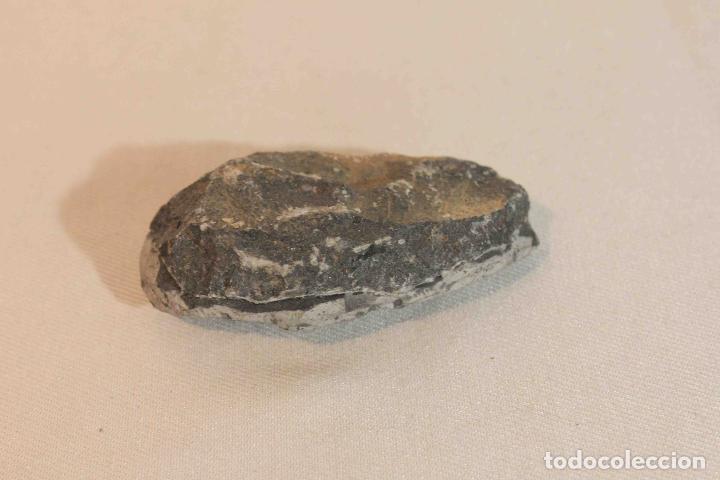 Antig&uuml;edades: FOSIL PIEDRA MODELO C &nbsp;&nbsp;&nbsp;&nbsp;&nbsp;&nbsp;&nbsp;&nbsp;&nbsp;&nbsp;&nbsp;&nbsp;&nbsp;&nbsp;&nbsp;&nbsp; - Foto 5