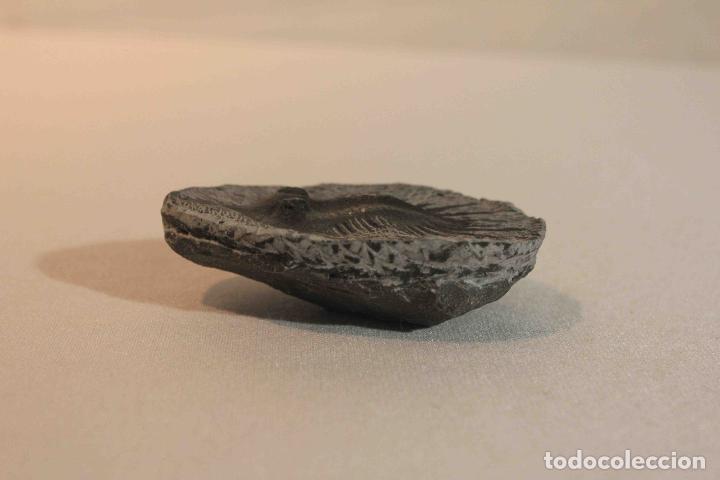 Antig&uuml;edades: FOSIL PIEDRA MODELO D &nbsp;&nbsp;&nbsp;&nbsp;&nbsp;&nbsp;&nbsp;&nbsp;&nbsp;&nbsp;&nbsp;&nbsp;&nbsp;&nbsp;&nbsp;&nbsp; - Foto 2