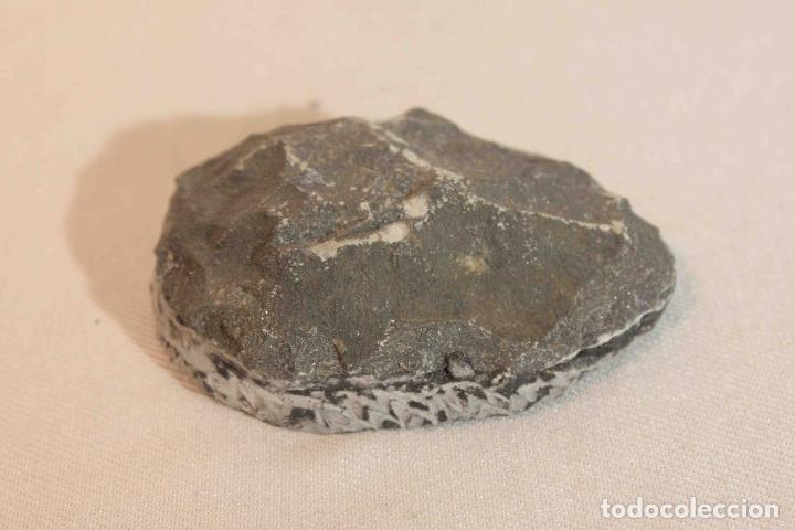 Antig&uuml;edades: FOSIL PIEDRA MODELO D &nbsp;&nbsp;&nbsp;&nbsp;&nbsp;&nbsp;&nbsp;&nbsp;&nbsp;&nbsp;&nbsp;&nbsp;&nbsp;&nbsp;&nbsp;&nbsp; - Foto 5