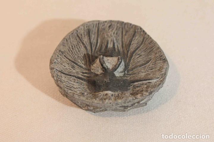 Antig&uuml;edades: FOSIL PIEDRA MODELO B &nbsp;&nbsp;&nbsp;&nbsp;&nbsp;&nbsp;&nbsp;&nbsp;&nbsp;&nbsp;&nbsp;&nbsp;&nbsp;&nbsp;&nbsp;&nbsp; - Foto 3