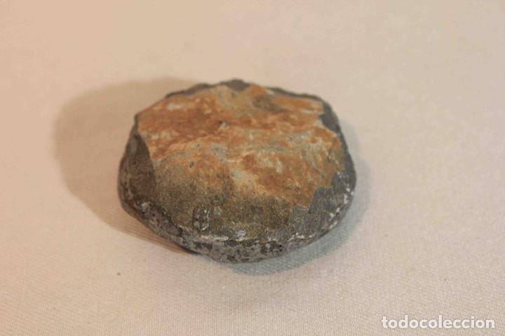 Antig&uuml;edades: FOSIL PIEDRA MODELO B &nbsp;&nbsp;&nbsp;&nbsp;&nbsp;&nbsp;&nbsp;&nbsp;&nbsp;&nbsp;&nbsp;&nbsp;&nbsp;&nbsp;&nbsp;&nbsp; - Foto 5