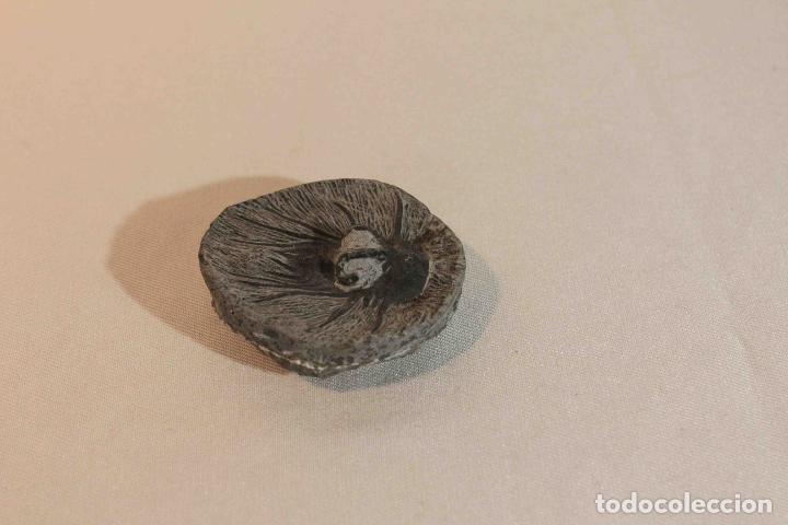 Antig&uuml;edades: FOSIL PIEDRA MODELO B &nbsp;&nbsp;&nbsp;&nbsp;&nbsp;&nbsp;&nbsp;&nbsp;&nbsp;&nbsp;&nbsp;&nbsp;&nbsp;&nbsp;&nbsp;&nbsp; - Foto 1