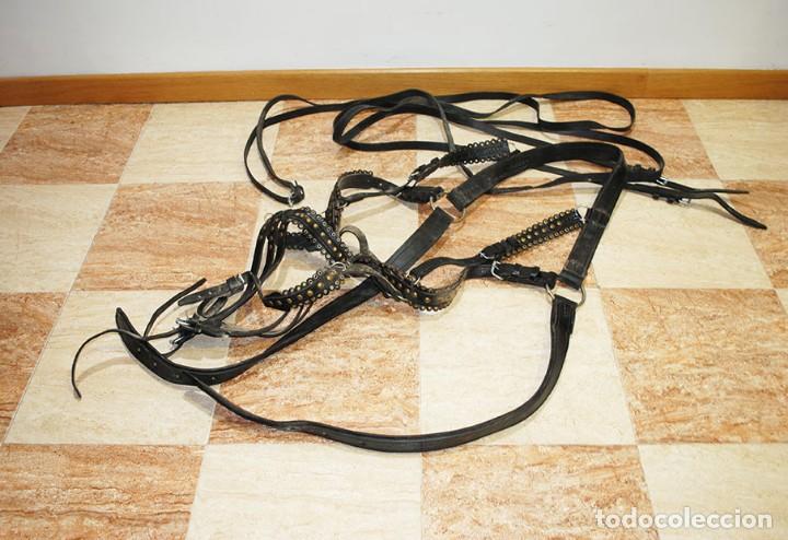 Antig&uuml;edades: RIENDAS Y CABEZADA DE CABALLO - Foto 4