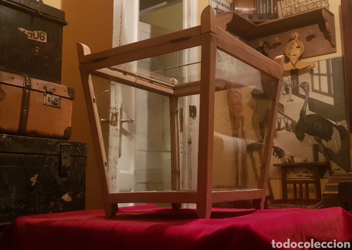 Antig&uuml;edades: Urna electoral antigua - Foto 6