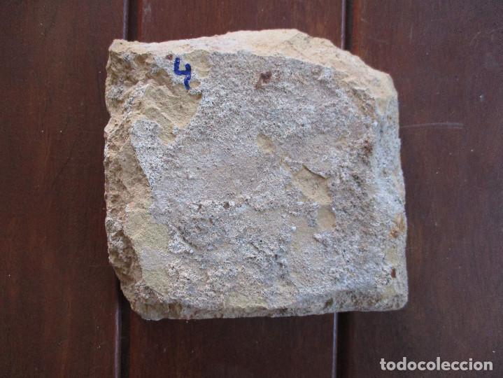Antig&uuml;edades: Azulejo pintado siglo XVII - Foto 2