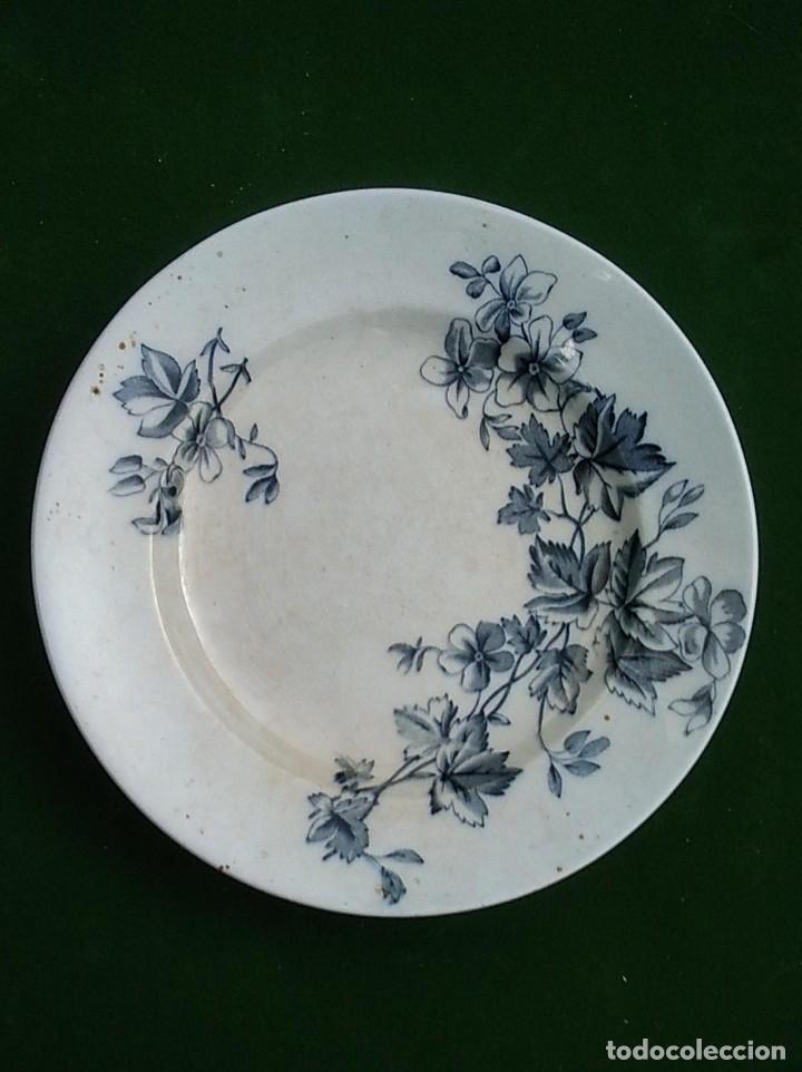 Antig&uuml;edades: PLATO ANTIGUO DE CERAMICA DE SANDEMAN MACDOUGALL JAVA MARCA REGISTRADA 23 CMS. DE DIAMETRO - Foto 1