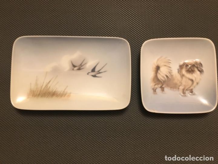 Antig&uuml;edades: Dos platos porcelana Copenhague - Foto 2