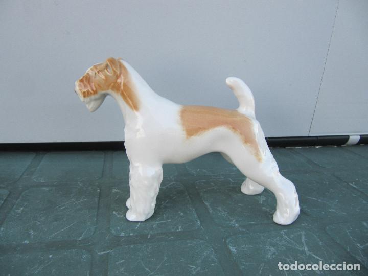 Antig&uuml;edades: Antigua Figura de Porcelana Perro Fox Terrier - URSS - Union Sovietica