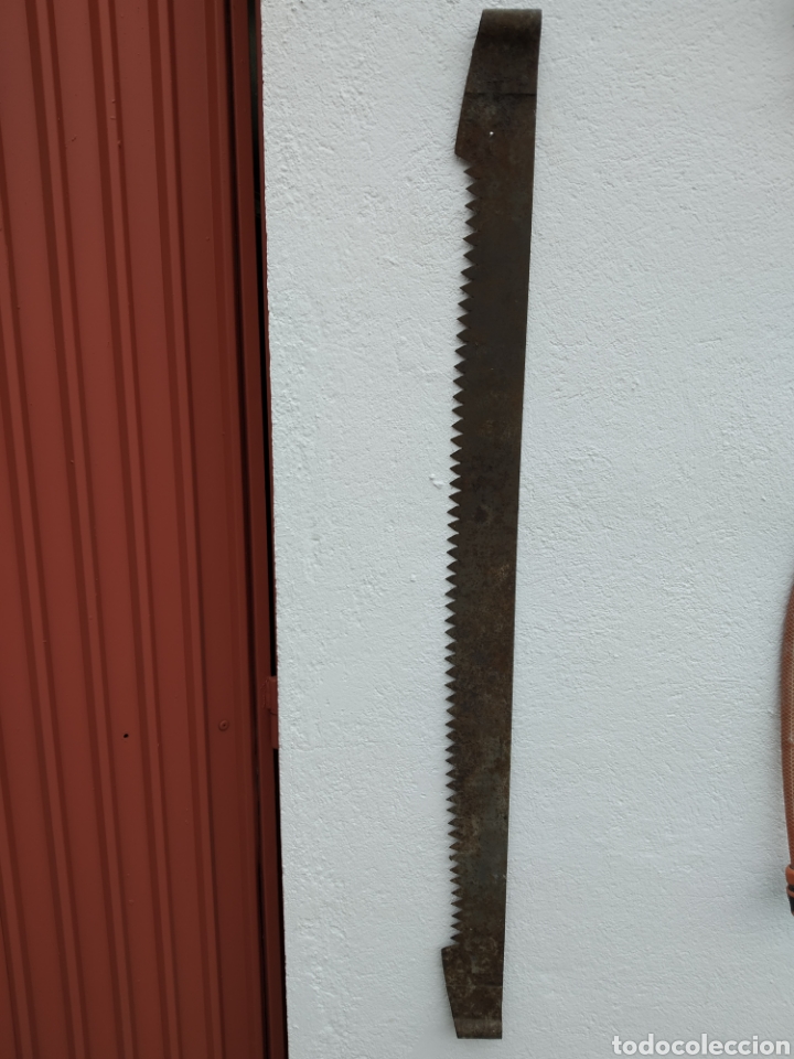 Antig&uuml;edades: Antigua sierra tronzon - Foto 2