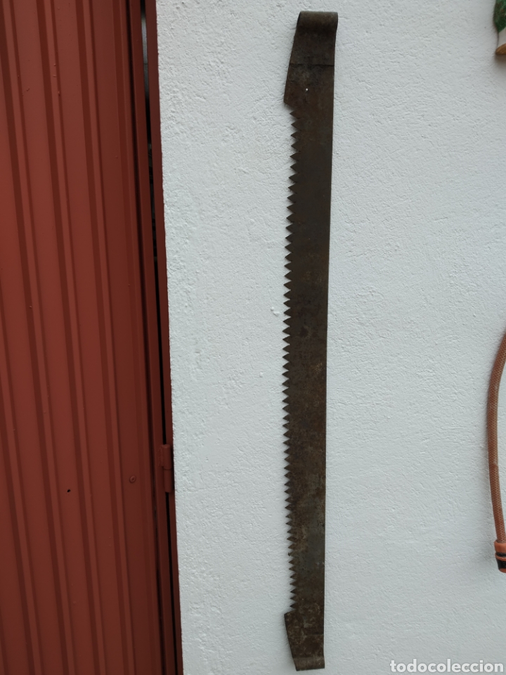 Antig&uuml;edades: Antigua sierra tronzon - Foto 1