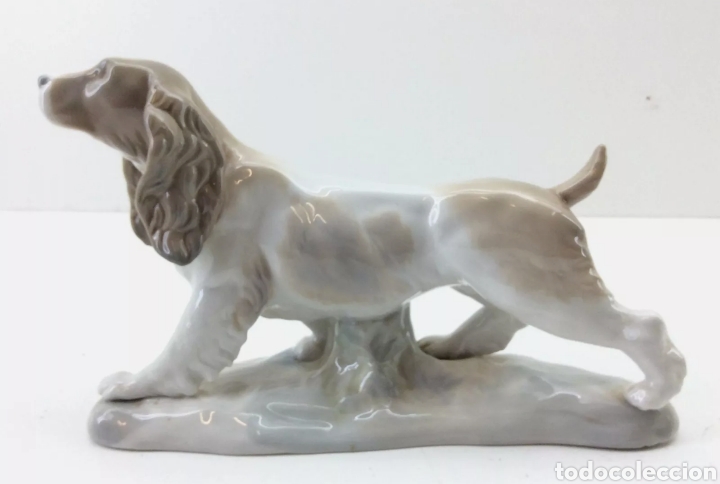 Antig&uuml;edades: Lladr&oacute; Cocker Spaniel - Foto 4