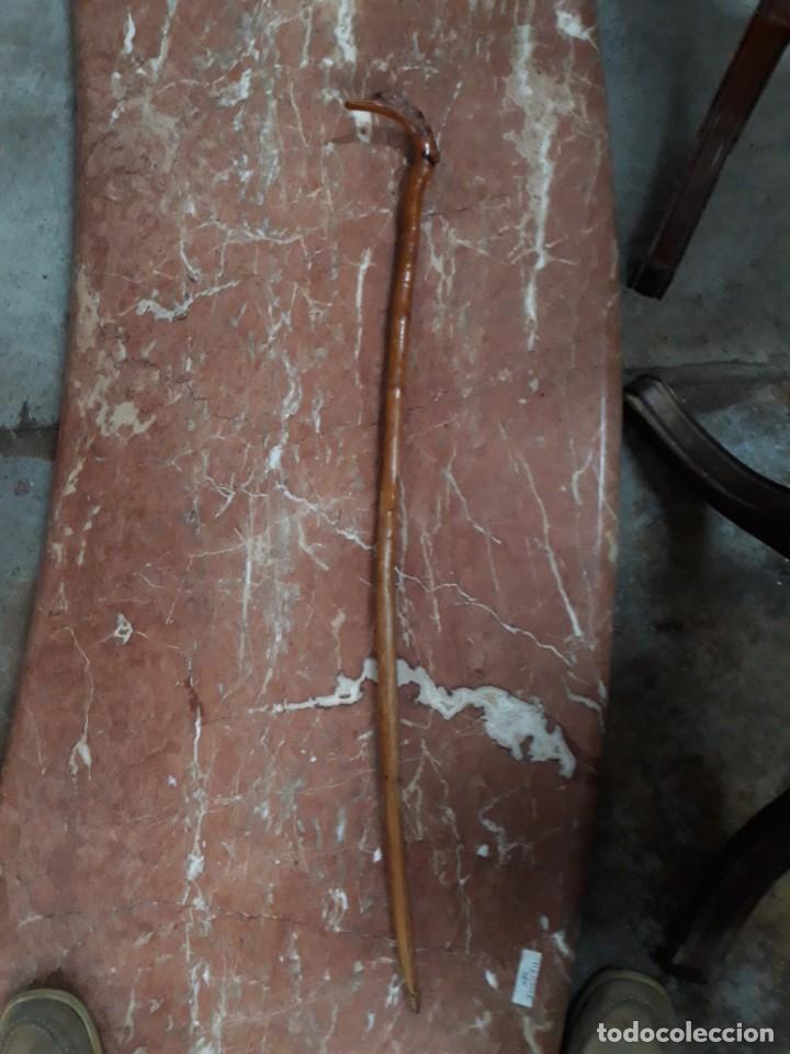 Antig&uuml;edades: BASTON COLECCION RA&Iacute;Z. CABEZA Y AVE - Foto 1