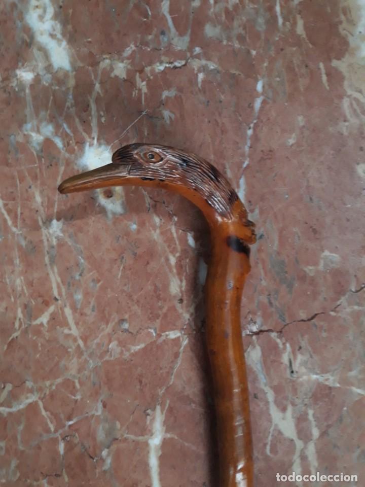 Antig&uuml;edades: BASTON COLECCION RA&Iacute;Z. CABEZA Y AVE - Foto 2