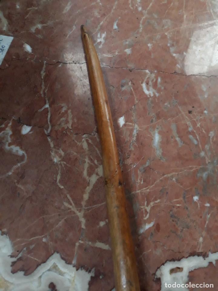 Antig&uuml;edades: BASTON COLECCION RA&Iacute;Z. CABEZA Y AVE - Foto 3