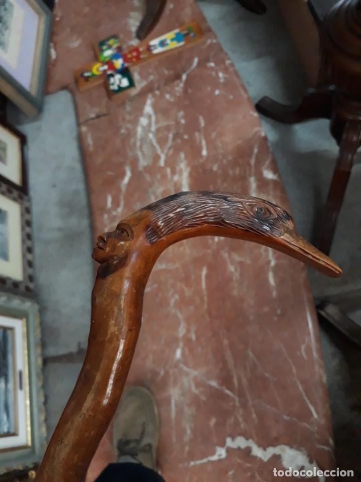 Antig&uuml;edades: BASTON COLECCION RA&Iacute;Z. CABEZA Y AVE - Foto 6