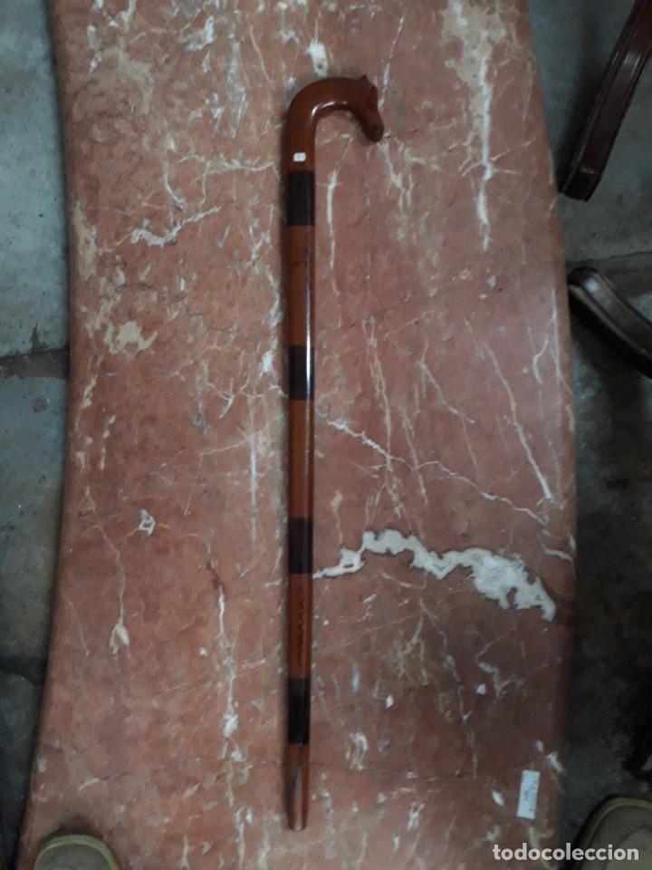 Antig&uuml;edades: BASTON MADERA de caoba con CABEZA DE CABALLO - Foto 1