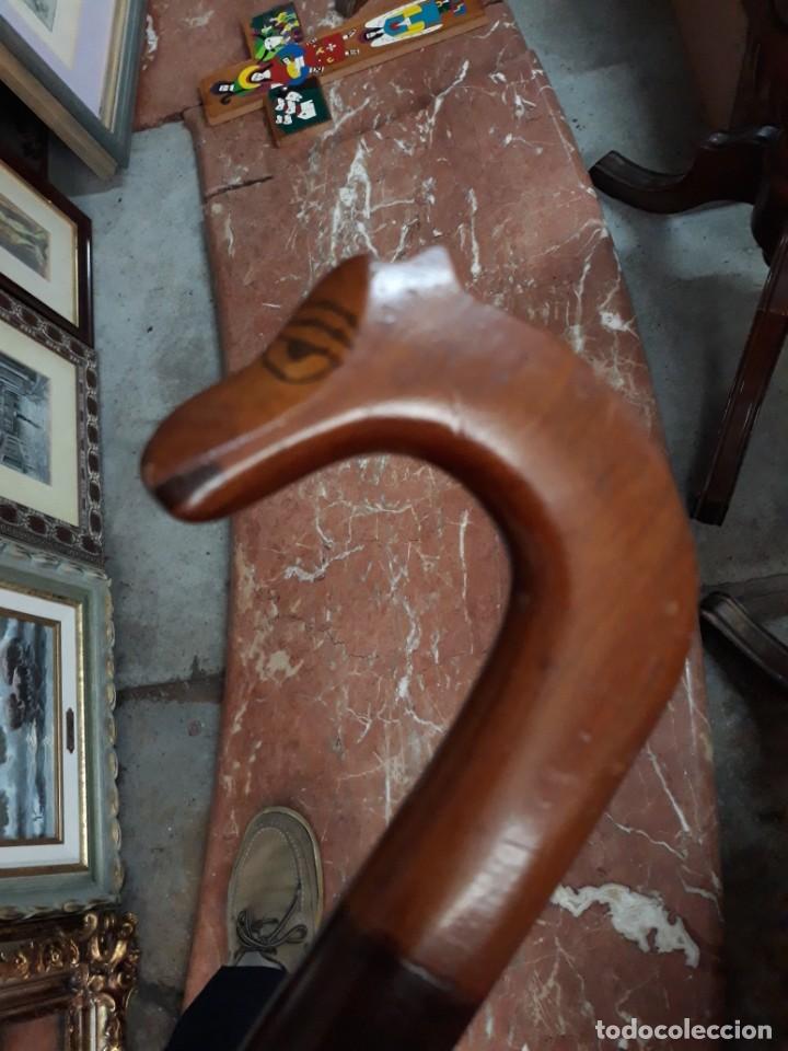 Antig&uuml;edades: BASTON MADERA de caoba con CABEZA DE CABALLO - Foto 5