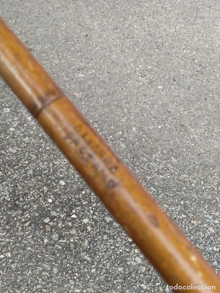 Antig&uuml;edades: BASTON MADERA TALLADA.CABEZA BESTIA - Foto 9