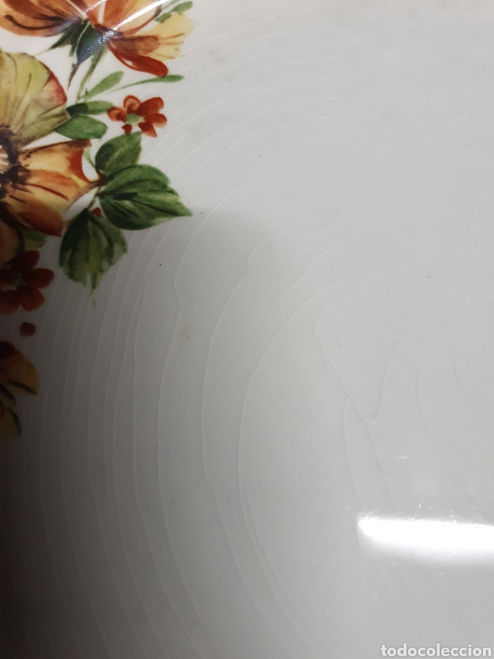 Antig&uuml;edades: 4 platos Porcelana - Foto 3
