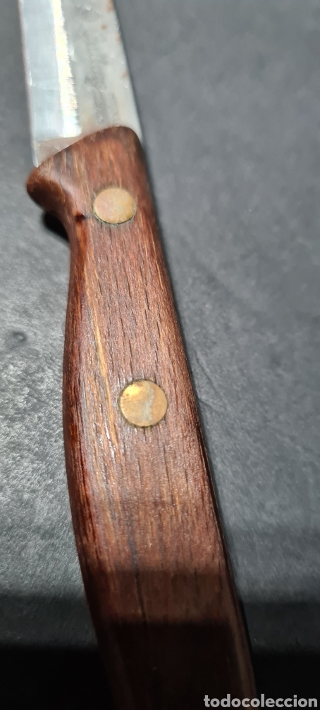 Antig&uuml;edades: Cuchillo Cutting. Made in Italy. - Foto 3