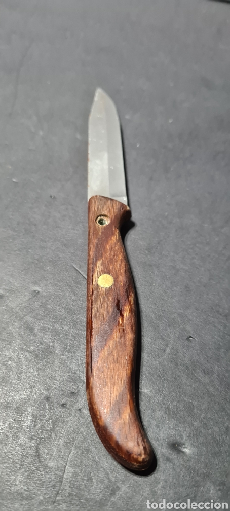 Antig&uuml;edades: Cuchillo Cutting. Made in Italy. - Foto 4