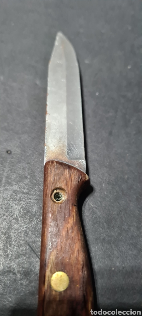 Antig&uuml;edades: Cuchillo Cutting. Made in Italy. - Foto 5