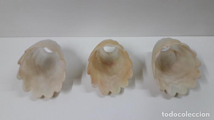 Antig&uuml;edades: TRES TULIPAS PARA LAMPARA - Foto 8