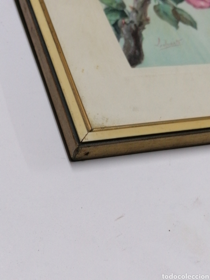 Antig&uuml;edades: Marco l&aacute;mina - Foto 4