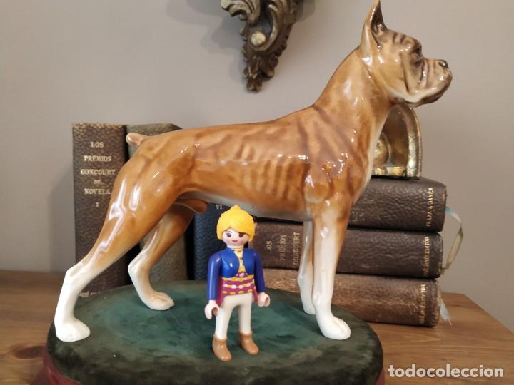 Antig&uuml;edades: BOXER PORCELANA GOEBEL NUMERADA - Foto 1