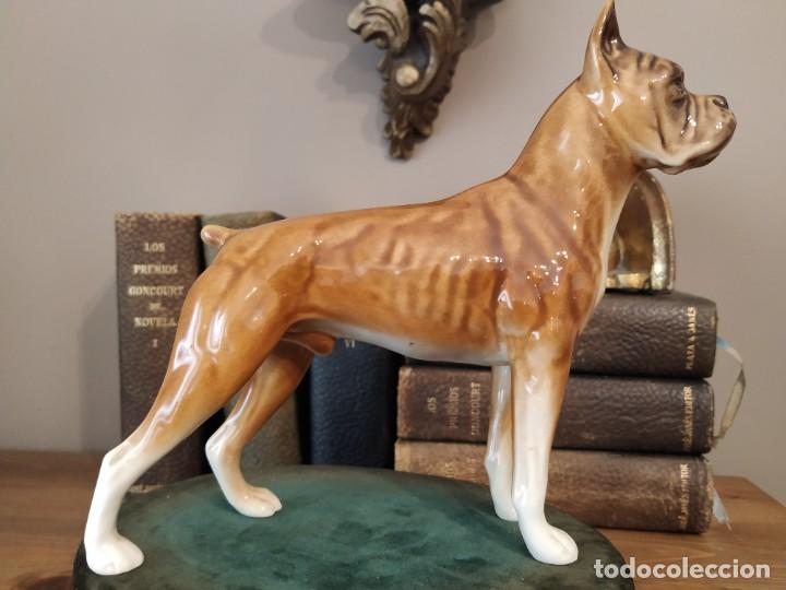 Antig&uuml;edades: BOXER PORCELANA GOEBEL NUMERADA - Foto 2