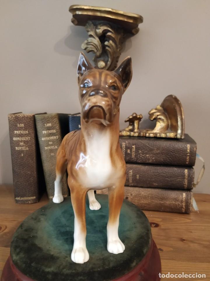 Antig&uuml;edades: BOXER PORCELANA GOEBEL NUMERADA - Foto 3
