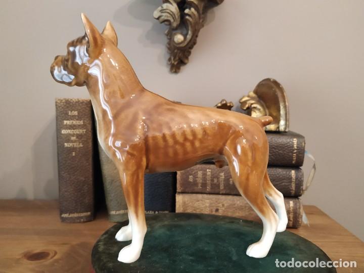 Antig&uuml;edades: BOXER PORCELANA GOEBEL NUMERADA - Foto 4
