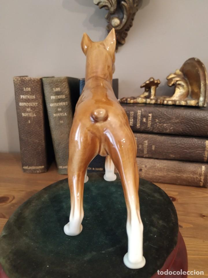 Antig&uuml;edades: BOXER PORCELANA GOEBEL NUMERADA - Foto 5