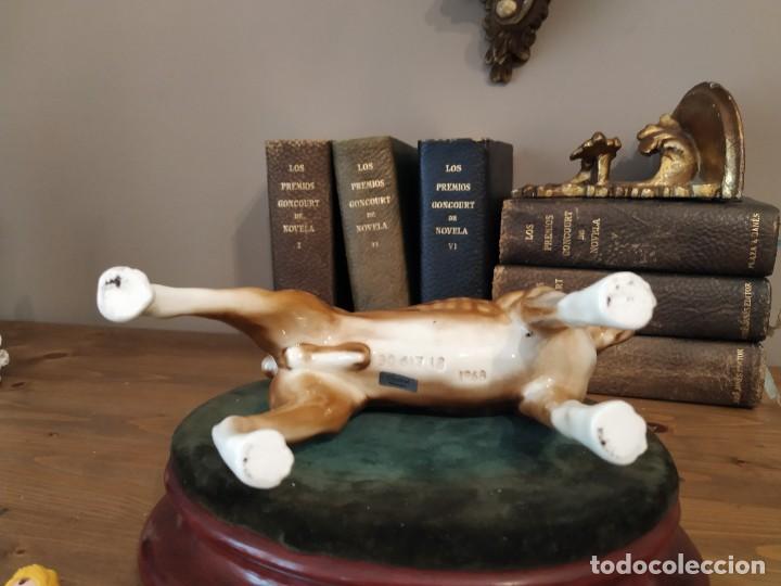 Antig&uuml;edades: BOXER PORCELANA GOEBEL NUMERADA - Foto 6