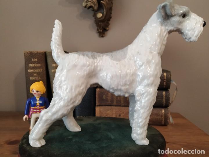 Antig&uuml;edades: FOX TERRIER PORCELANA - Foto 1
