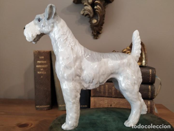 Antig&uuml;edades: FOX TERRIER PORCELANA - Foto 3