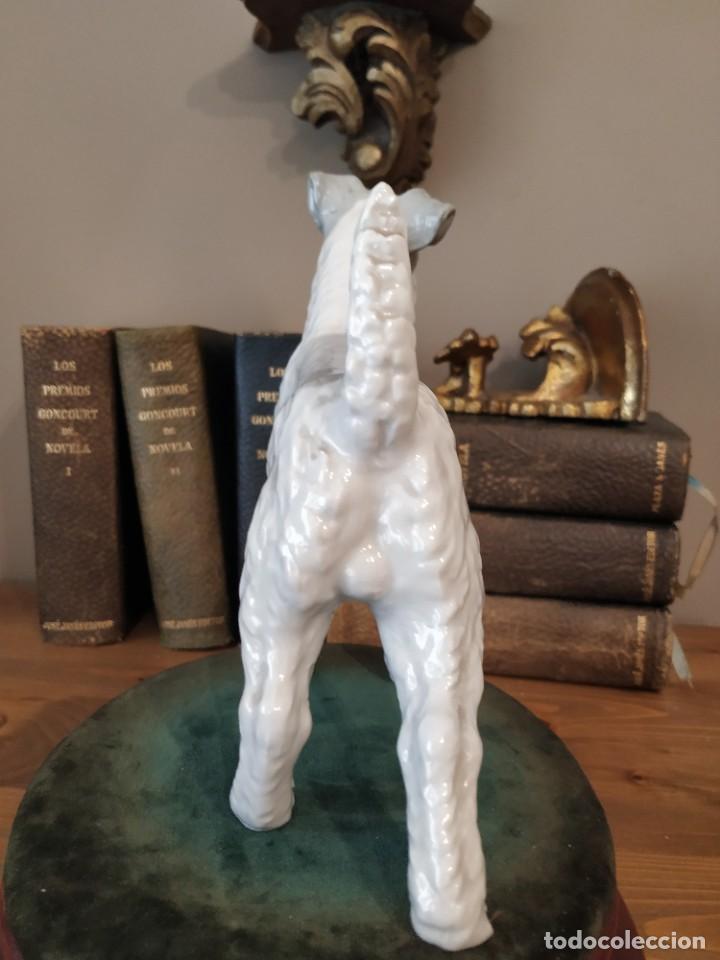 Antig&uuml;edades: FOX TERRIER PORCELANA - Foto 4