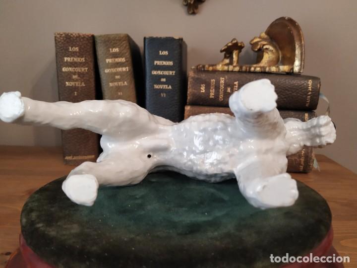 Antig&uuml;edades: FOX TERRIER PORCELANA - Foto 5