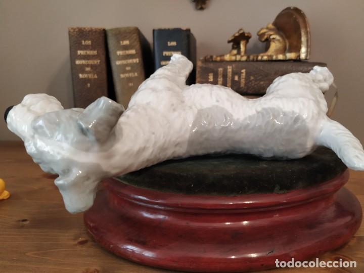 Antig&uuml;edades: FOX TERRIER PORCELANA - Foto 6