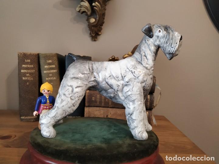 Antig&uuml;edades: PERRO SCHNAUZER PORCELANA SUREDA - Foto 1