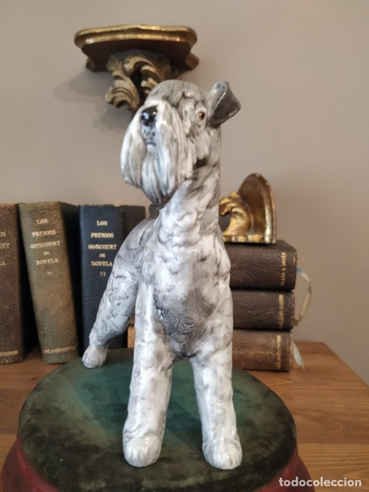 Antig&uuml;edades: PERRO SCHNAUZER PORCELANA SUREDA - Foto 2