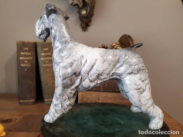 Antig&uuml;edades: PERRO SCHNAUZER PORCELANA SUREDA - Foto 3