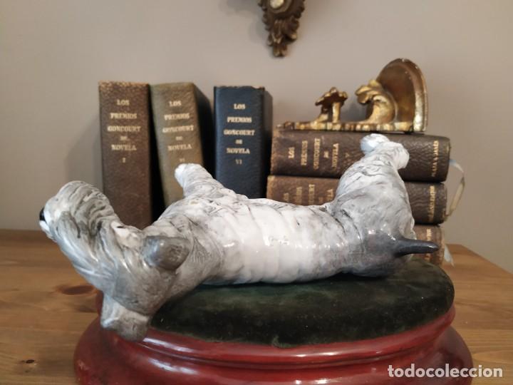 Antig&uuml;edades: PERRO SCHNAUZER PORCELANA SUREDA - Foto 5